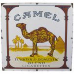 camel